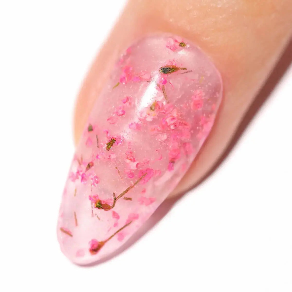 Peony Pop Nailboo®