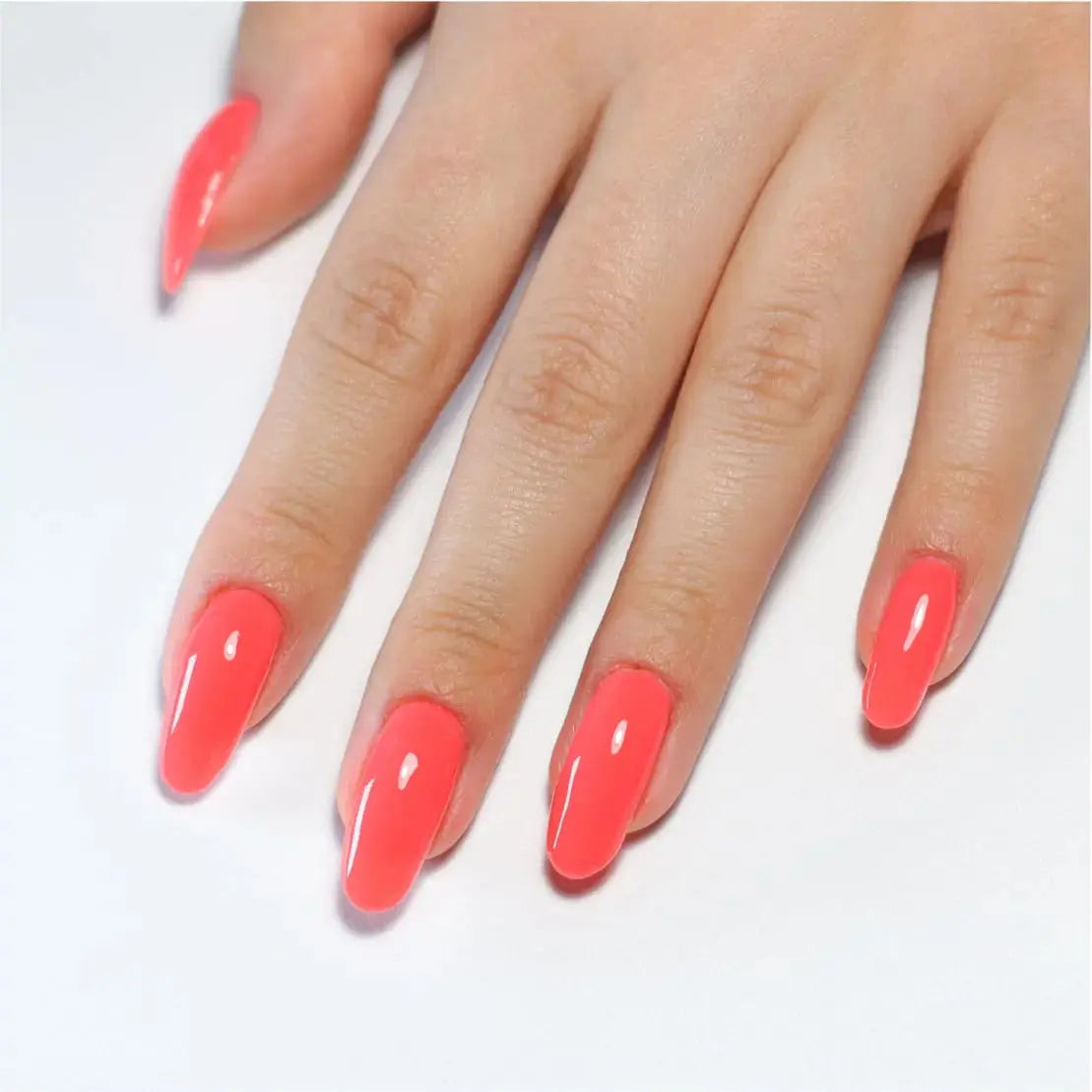 Pop Star Nailboo®