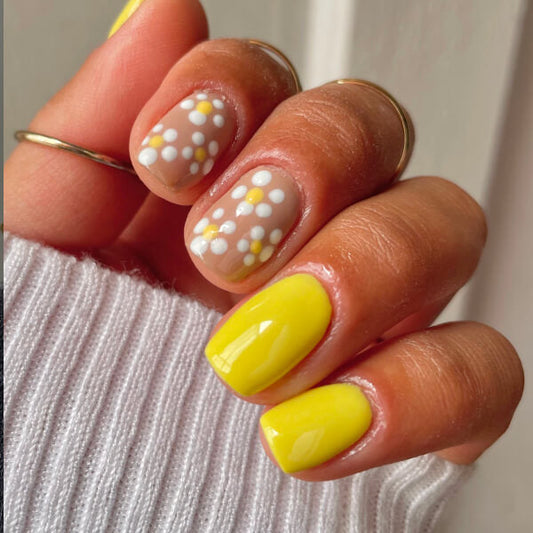 Daisy Days