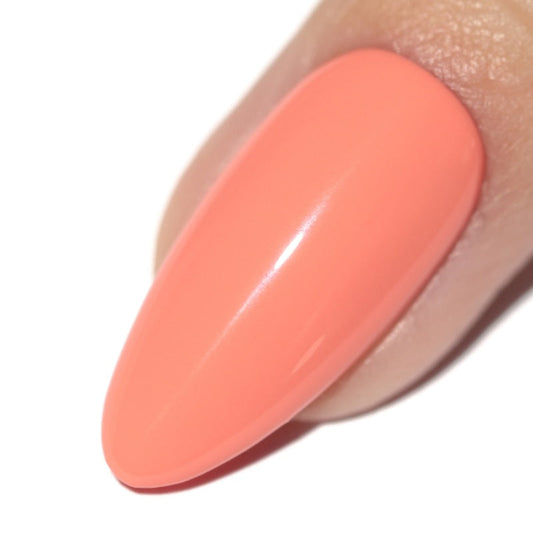 Bikini Blush Gel